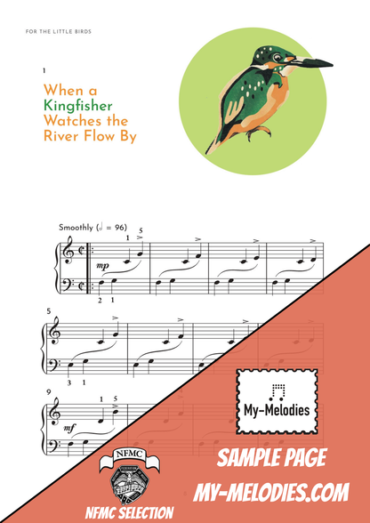 For the Little Birds (1st Edition)