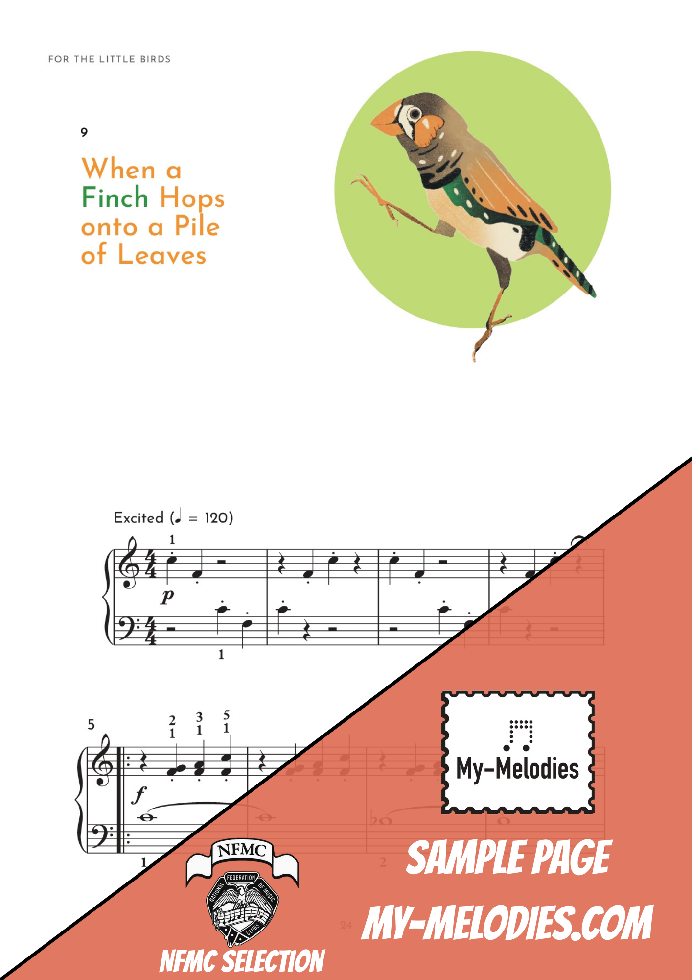 For the Little Birds (1st Edition)