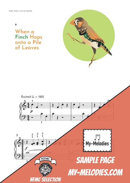 For the Little Birds (1st Edition)