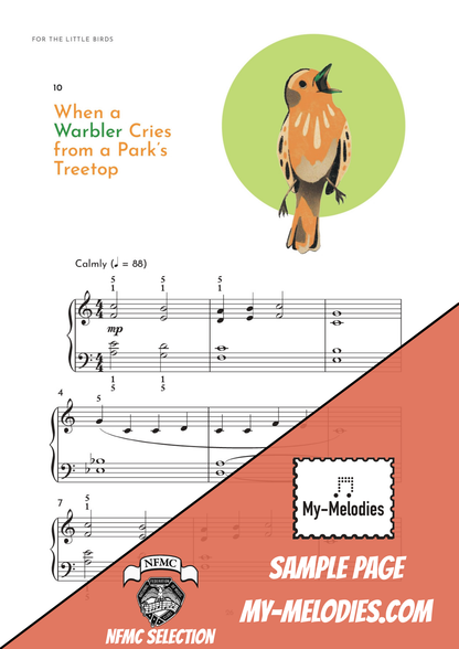 For the Little Birds (1st Edition)