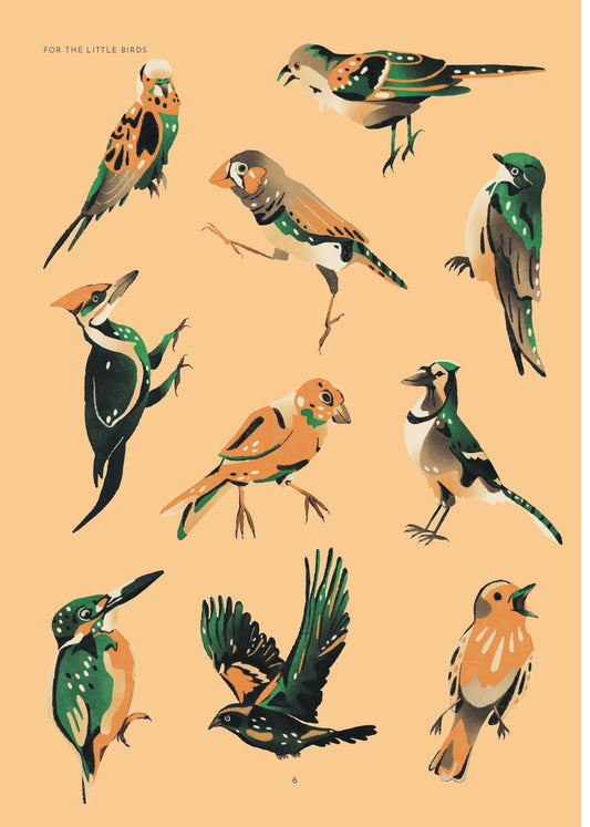 For the Little Birds (1st Edition)